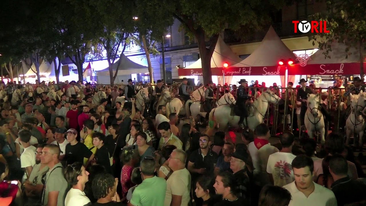 EN DIRECT - Finale du concours d'abrivado Nîmes métropole suite