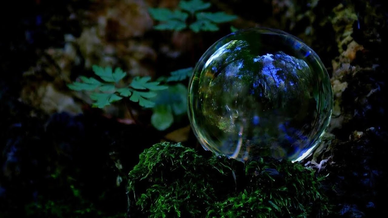 🌟🔮 რა საჩუქარს გიმზადებთ სამყარო❓💫✨🕯️