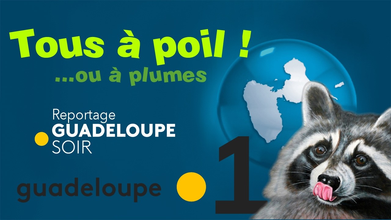 Jazzimo à la télé !