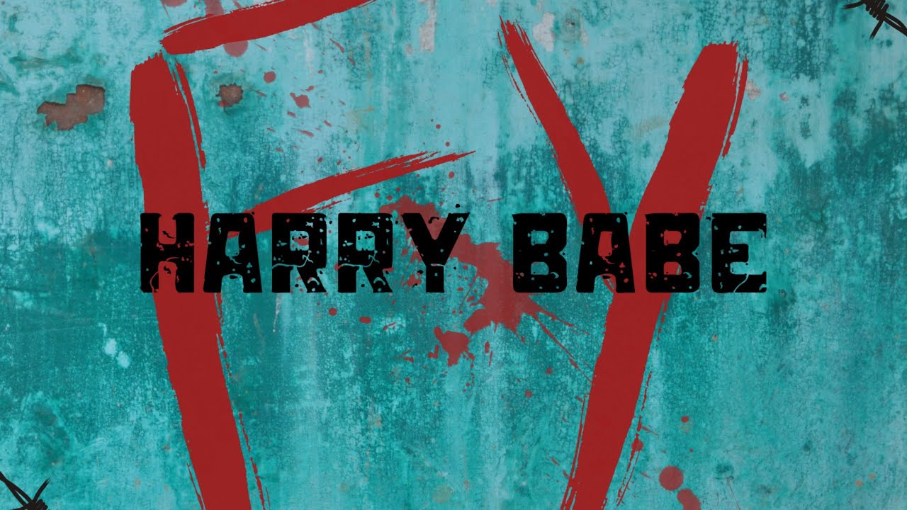 FY Harry Babe (official audio) #heavyguitar #punkrock #rock