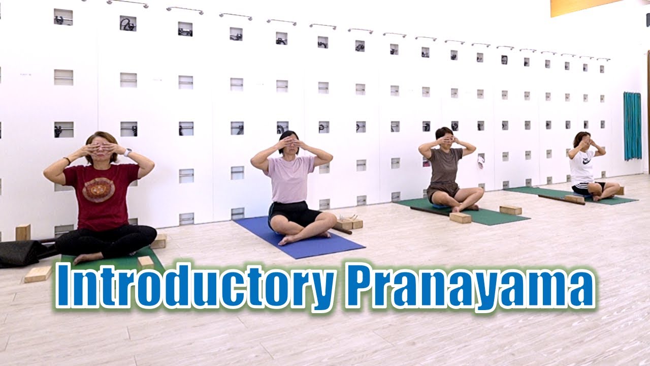 Introductory Pranayama Class | Preparation | Breath Observation | Kapalbhati | Shanmukhi Mudra