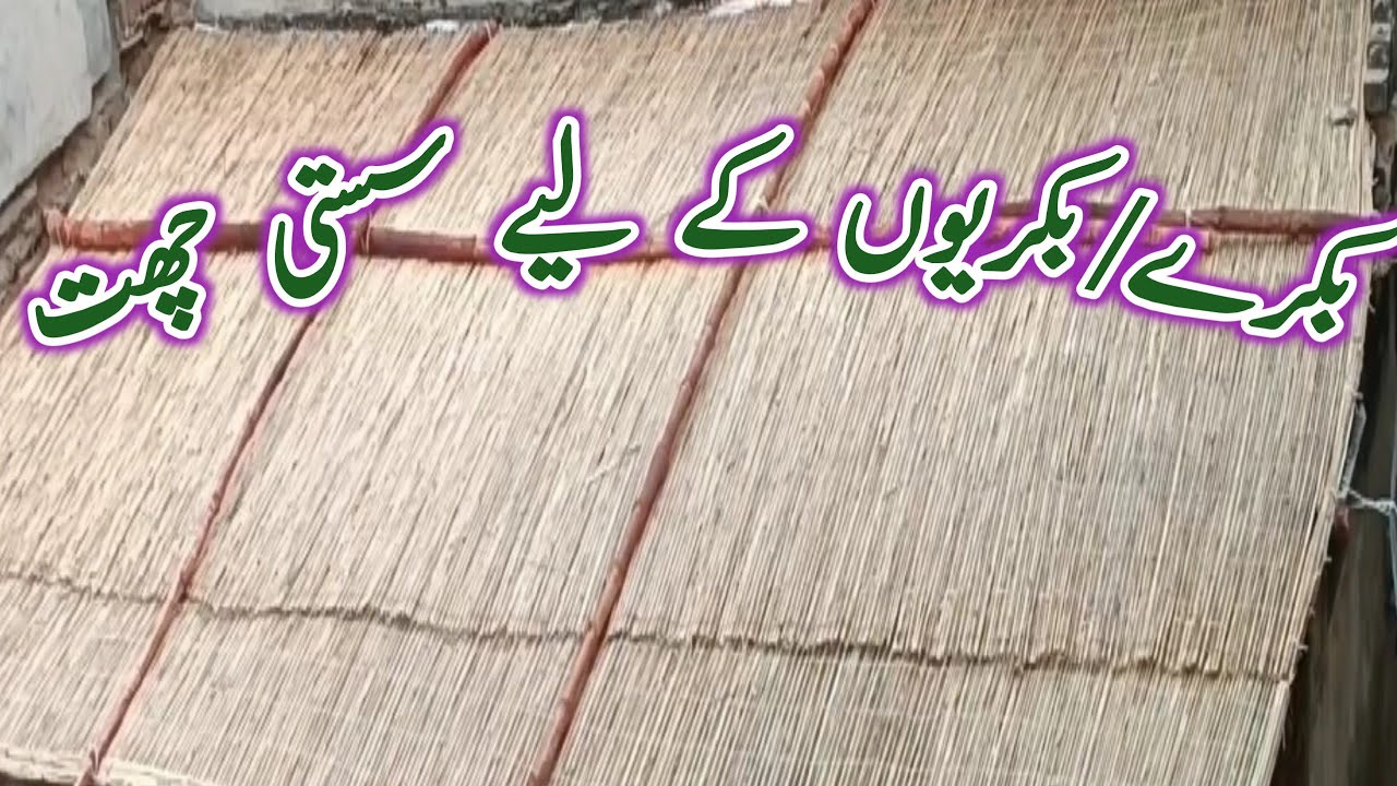 Low Cost Goat Shed Roof | Baans (Bamboo) Cheap Shed Roof Ready For 80 Goat | Sasta Goat Shed