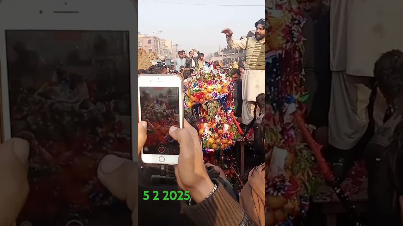 سدھار منڈی فیصل آباد کینو بولی
