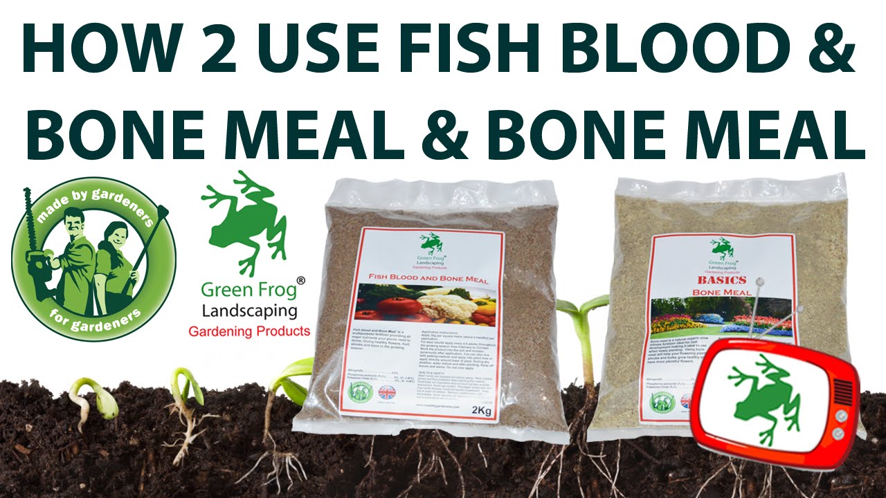 How To Use Fish Blood & Bone Meal & Bone Meal