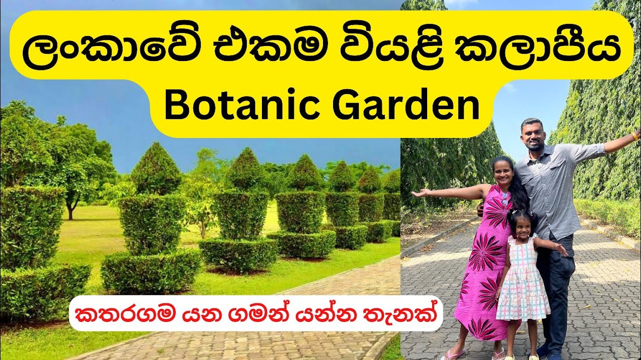 Hambanthota Dry zone Botanical Garden |🌻මිරිජ්ජවිල උද්භිද උද්&zwj;යානය