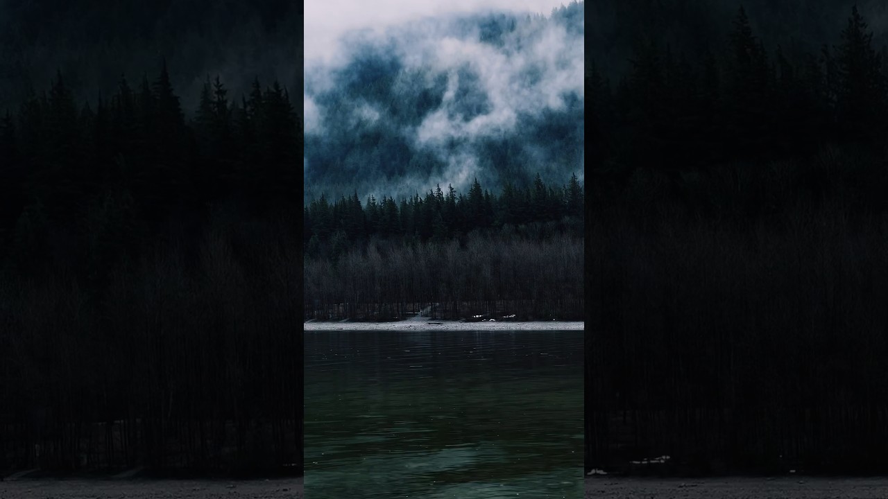 A moody morning in the pnw 🌲 