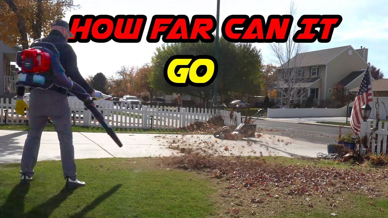 Обзор ранцевой воздуходувки Troy-Bilt TB51BP: от появления листьев до поломки.