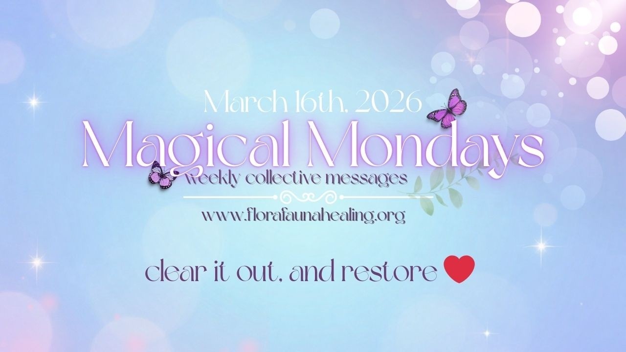 Magical Mondays | Leprechauns, Fae & Incoming Blessings | March 16th, 2026