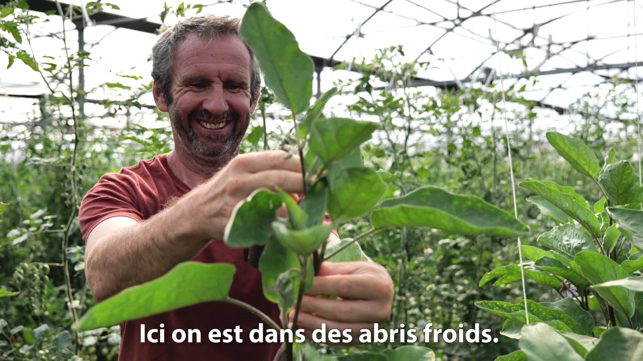 BioBreizh : biodiversit&eacute; et saisonnalit&eacute;
