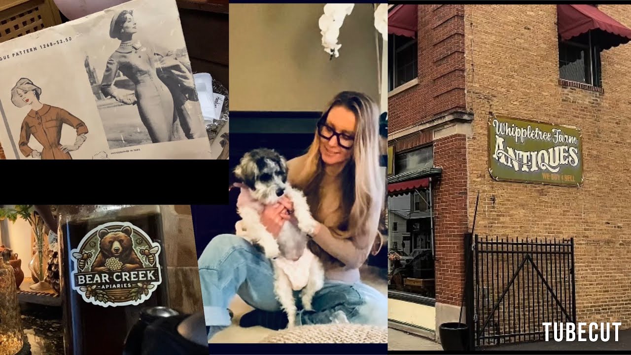 Cozy diaries / episode 4 / Wauconda  IL antiques / Dollar tree stop / Fast food my way / #illinois 
