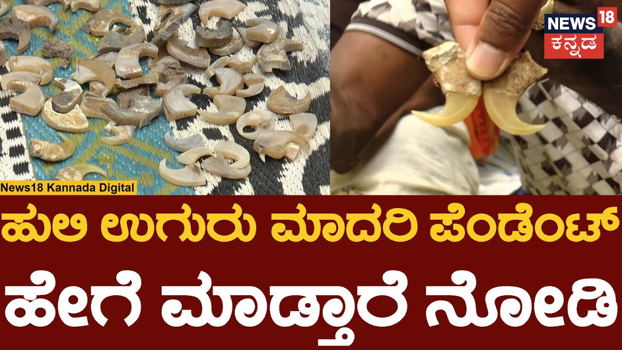Model Tiger Claw Pendant Making | ಥೇಟ್ ಹುಲಿ ಉಗುರಿನಂತೆ ಪೆಂಡೆಂಟ್ ಮಾಡೋ ಹಕ್ಕಿಪಿಕ್ಕಿ ಜನಾಂಗ | N18V