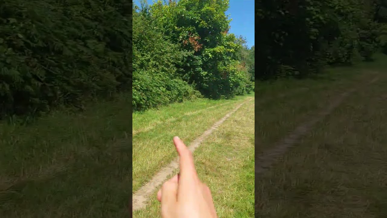 Banstead Commons Conservators, Tadworth, 29/7/2024