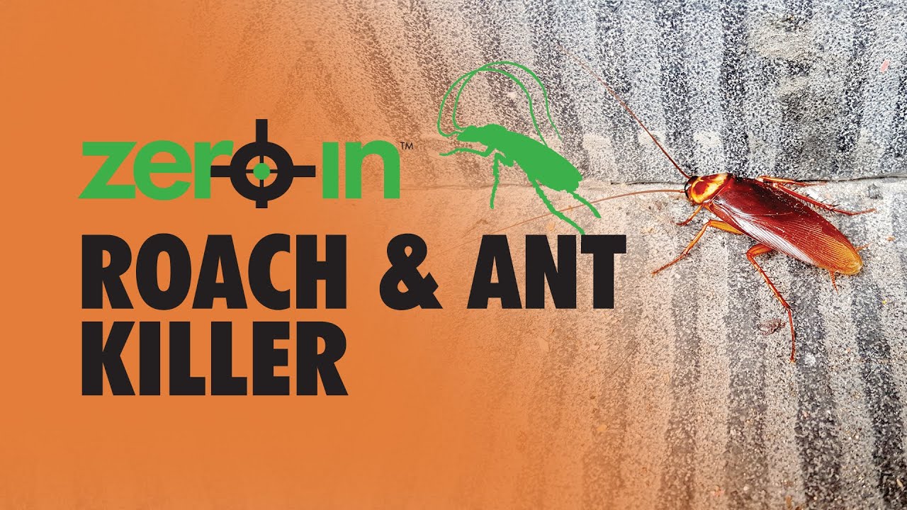 Zero In&trade; Roach and Ant Killer Aerosol Residual Roach and Ant Eliminator