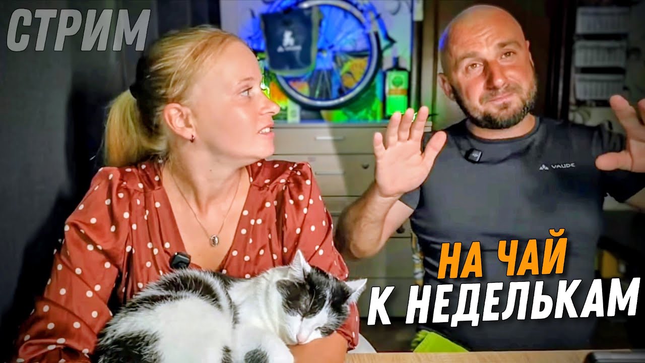 Вечерний стрим. Посиделки у Неделек