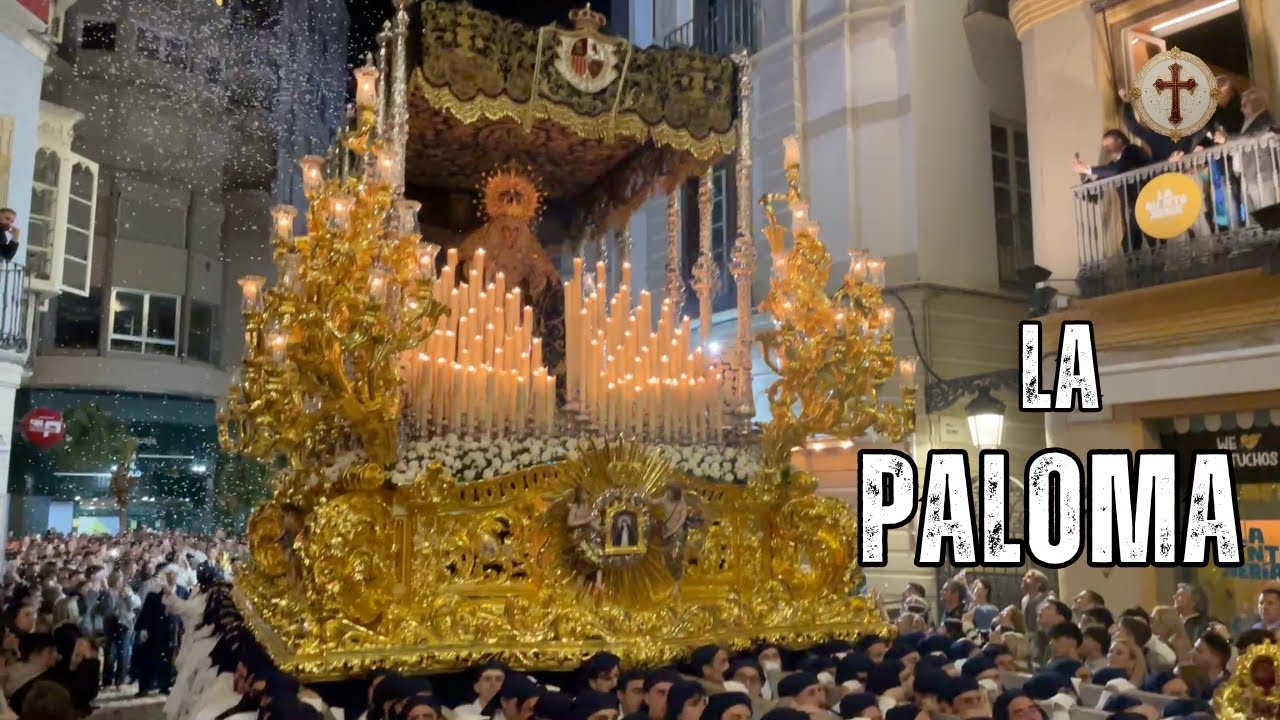 La Paloma de Málaga en Pleno Vuelo de Fe | Un Miércoles Santo Único