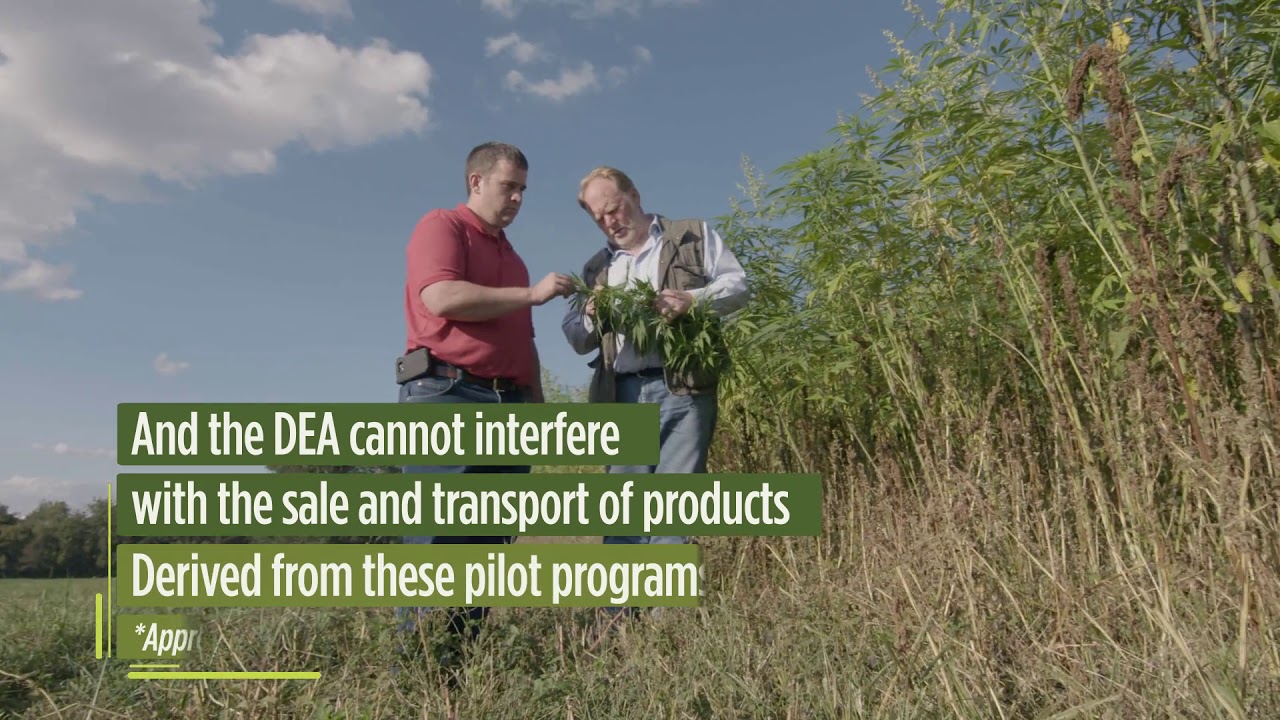 Ananda Hemp CBD - Available at Colonial Heights Pharmacy