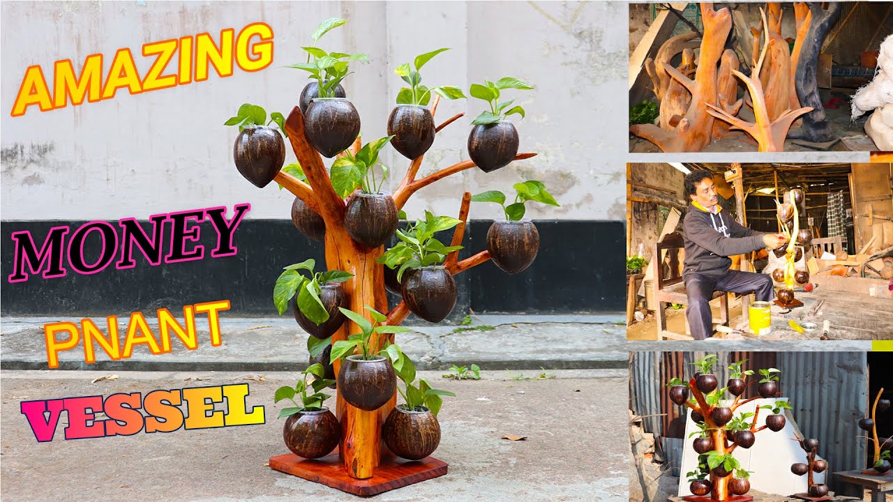 Amazing Money Plant Pot With Coconut Shell