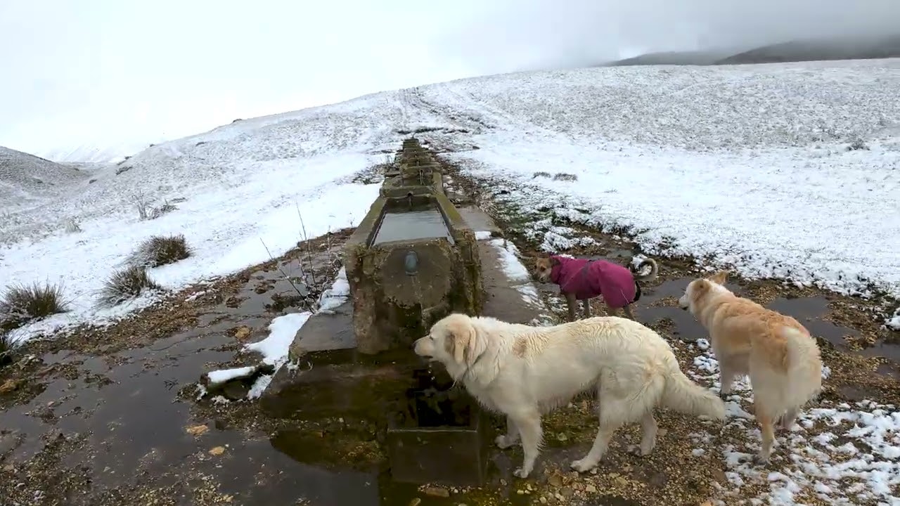 Castelluccio di Norcia Anello pian piccolo Forche Canapine