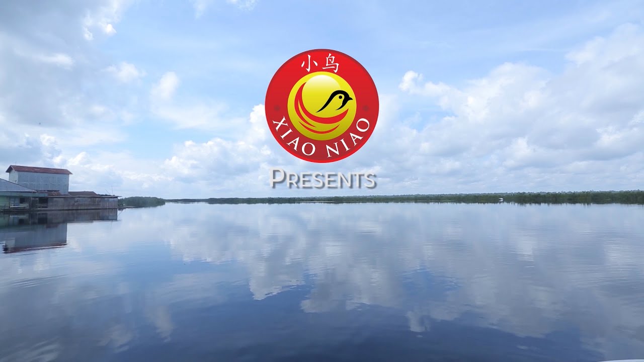 Xiao Niao Bird Nest AMJ Company Profile