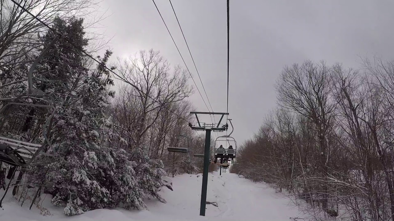 Tiger Triple - Gunstock