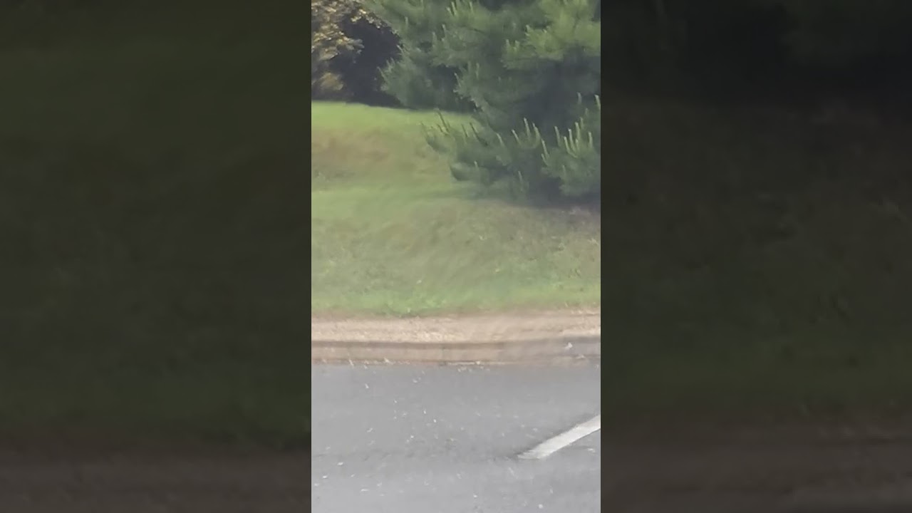 Appealing to normal people #politics #ireland