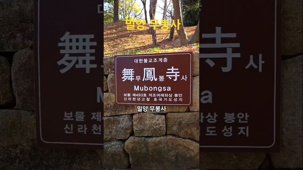 1분 사찰 여행 🪷 밀양 무봉사🙏 석조여래좌상 (보물)