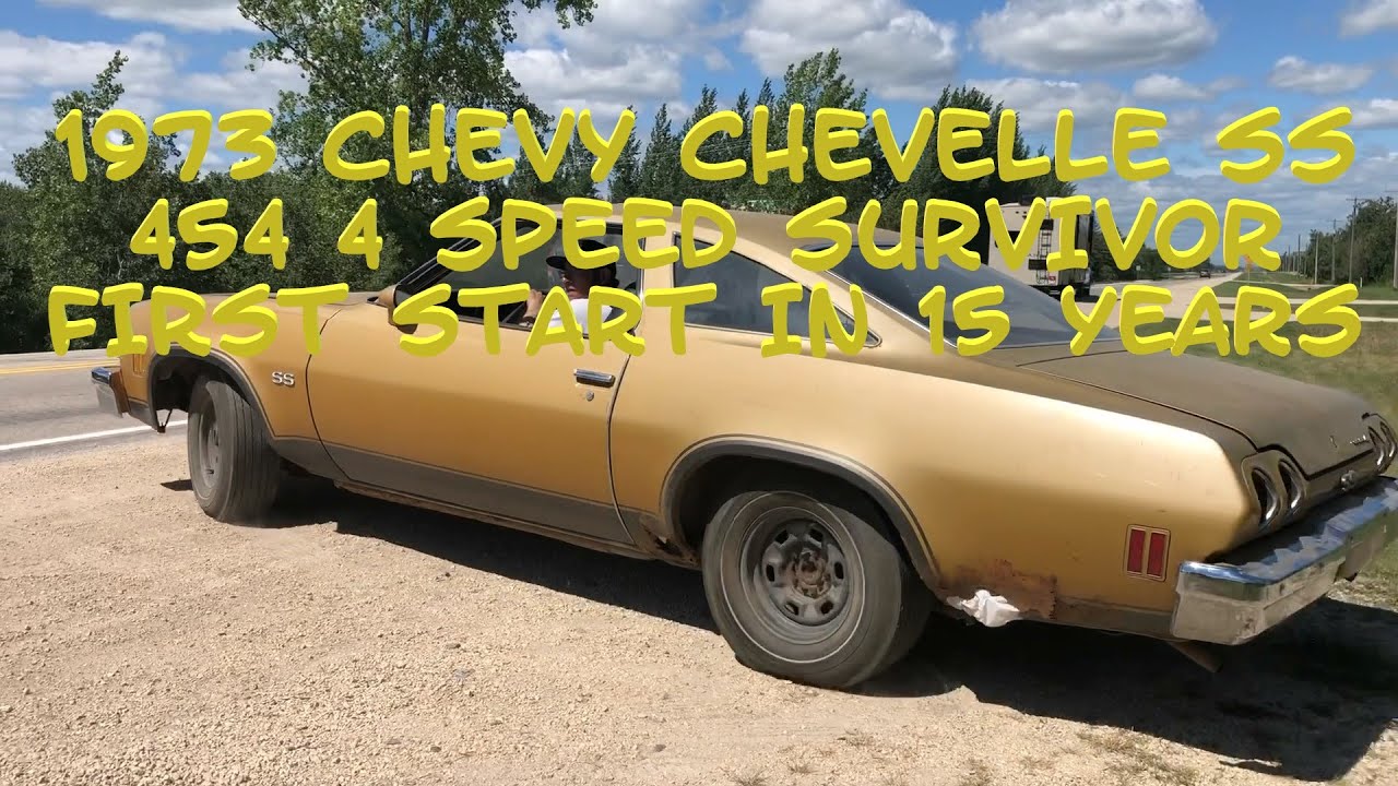1973 Chevy Chevelle SS 454 Muncie 4 Speed. Barn Find, Matching Numbers, First Start, Big Block.