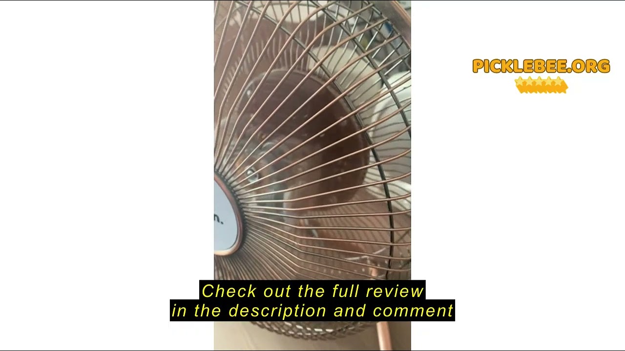 Review Netagon Schallen Small 9