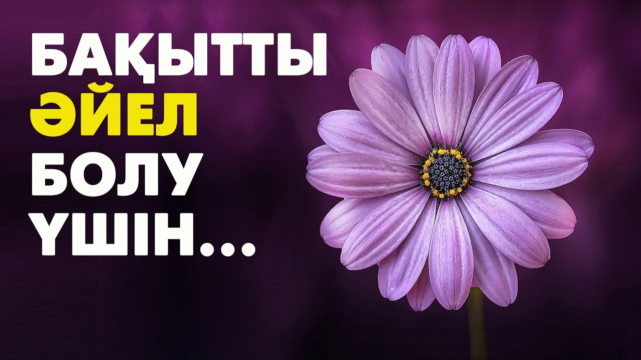 Әйел бақытты болу үшін не керек?  | #бақыт