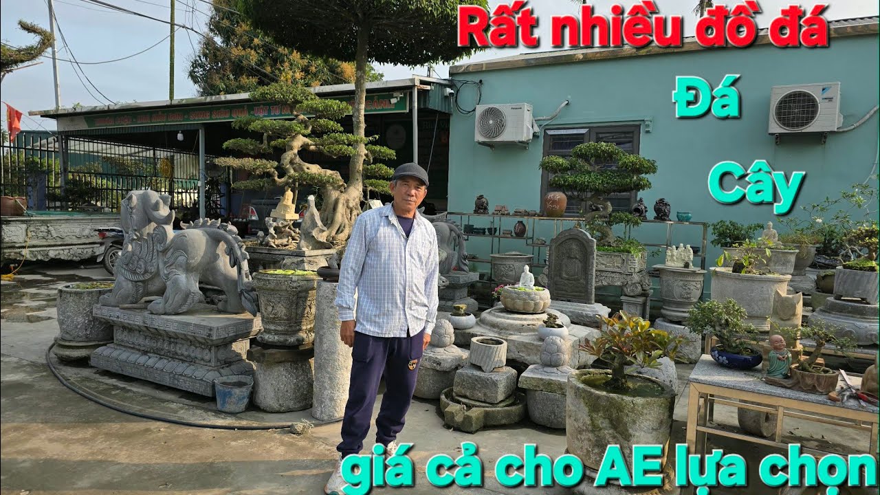KHÔNG GIAN CÓ RẤT NHIỀU ĐỒ ĐÁ CỔ CÂY CỔ, CHÚ BÁO GIÁ HỢP LÝ 