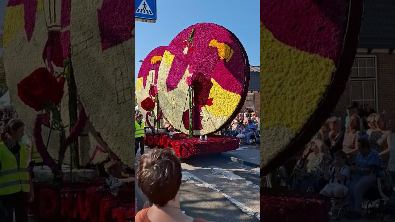 bloemen corso 2024 familie bosch in voorthuizen .