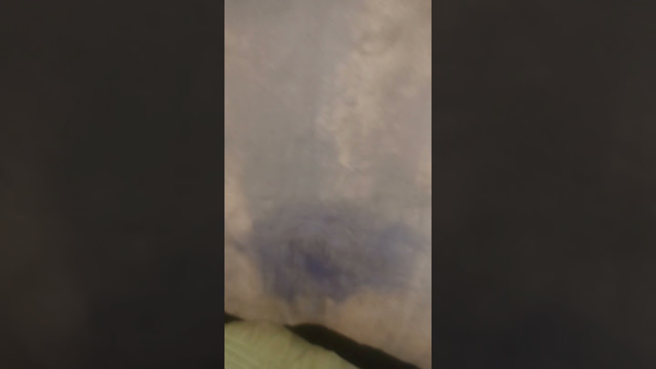 pintamos toda la casa y sin dejar caer una sola gota de pintura que no sea que es eso