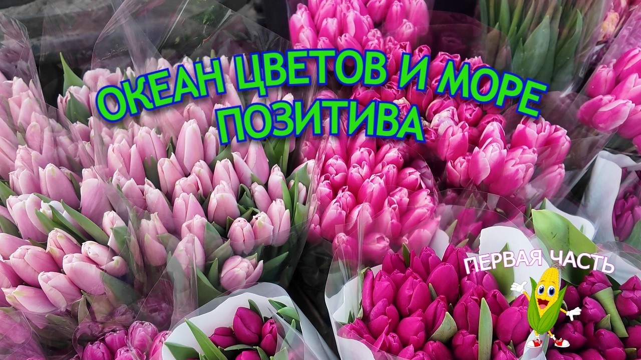 Океан цветов! Ярмарка на Центральном рынке удивила!