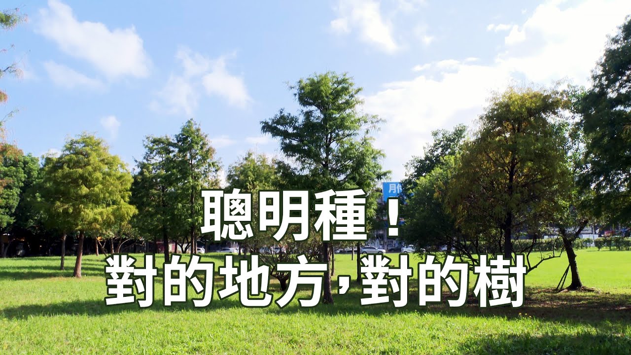 【智慧種樹】聰明種 ! 對的地方，對的樹 (我們的島 1111集 2021-06-28)