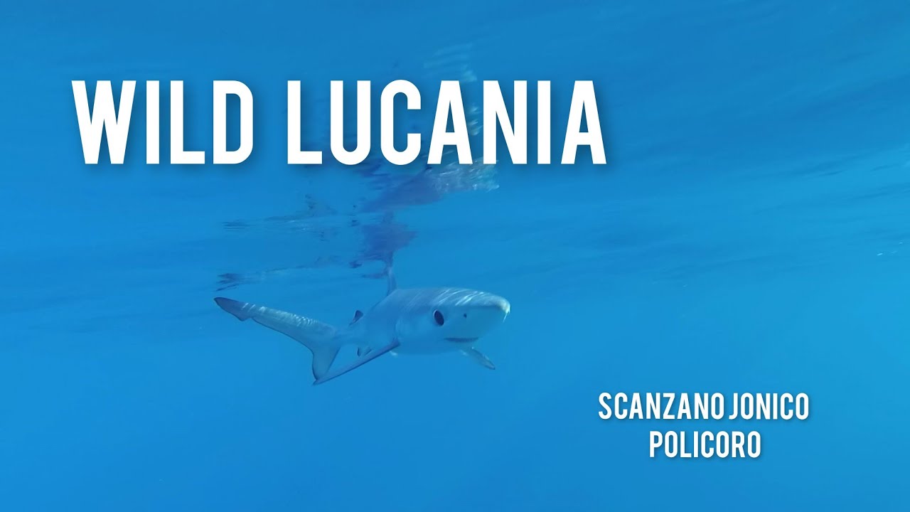 Wild LUCANIA - Scanzano Jonico x Policoro