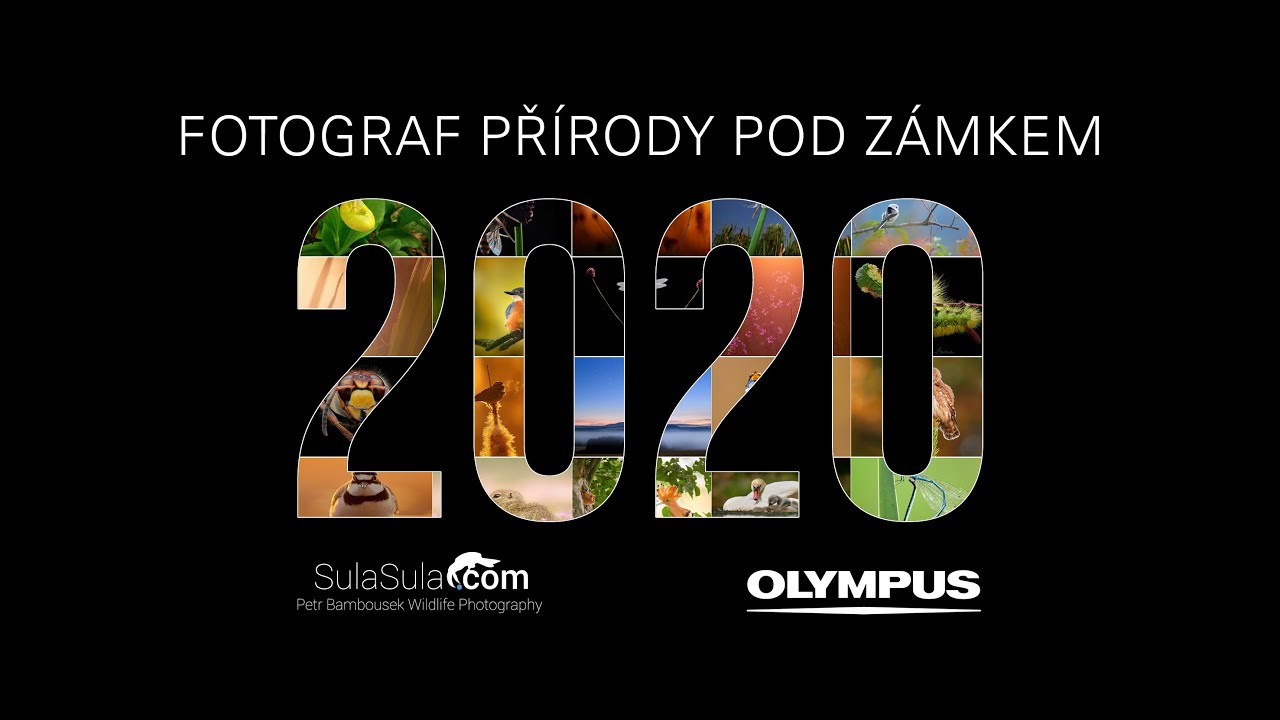 PŘEDNÁŠKA | FOTOGRAF PŘÍRODY POD ZÁMKEM (ZÁZNAM)