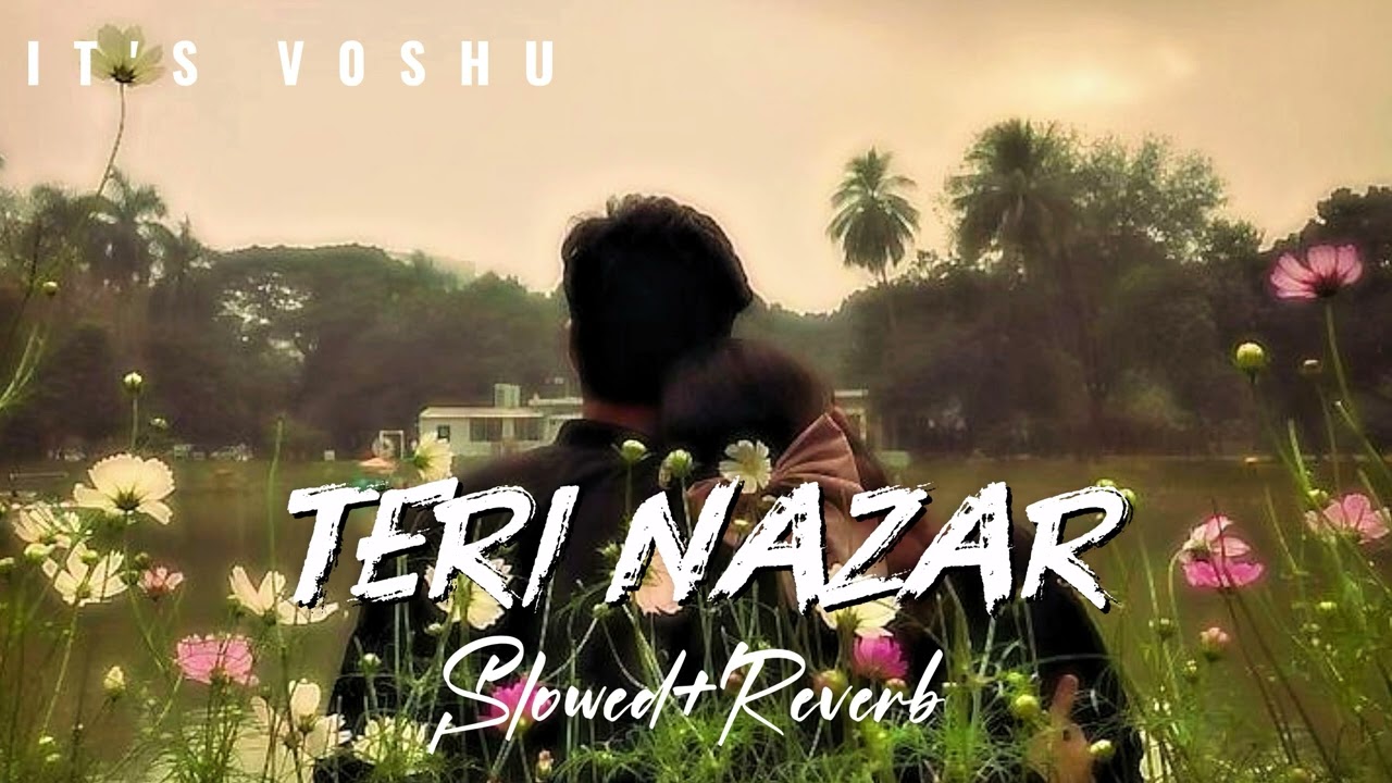 Teri nazar👀 | new lofi song | romantic song | song | it's v0shu 