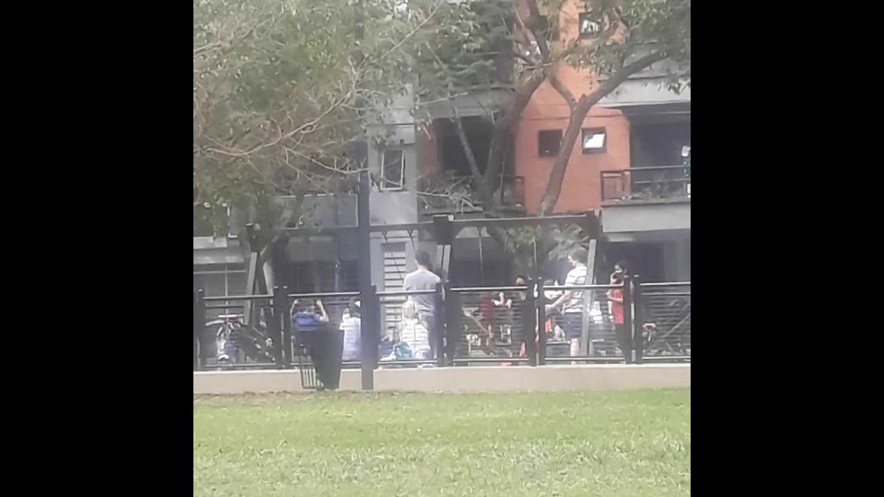 Ingreso a un paisaje (videopoema)