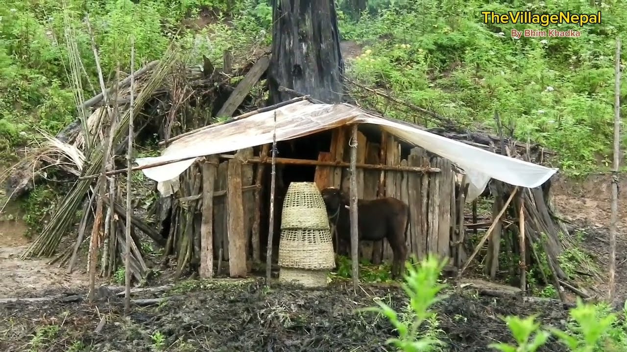 The most beautiful village in Nepal || Nechural beauty  village || TheVillageNepal