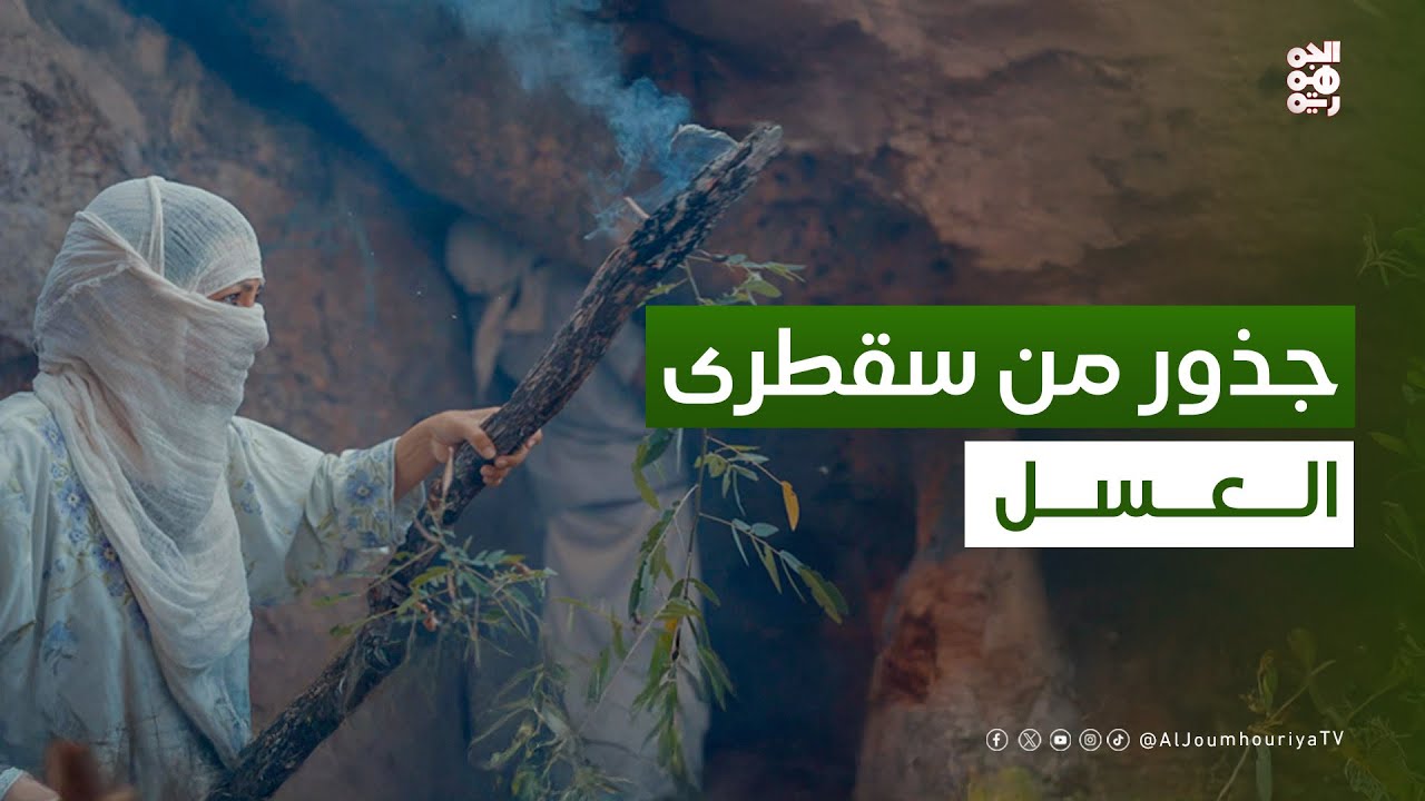 جربت استخرج عسل بري من كهوف سقطرى | جذور من سقطرى مع سمية جمال بلقيس | حلقة 04