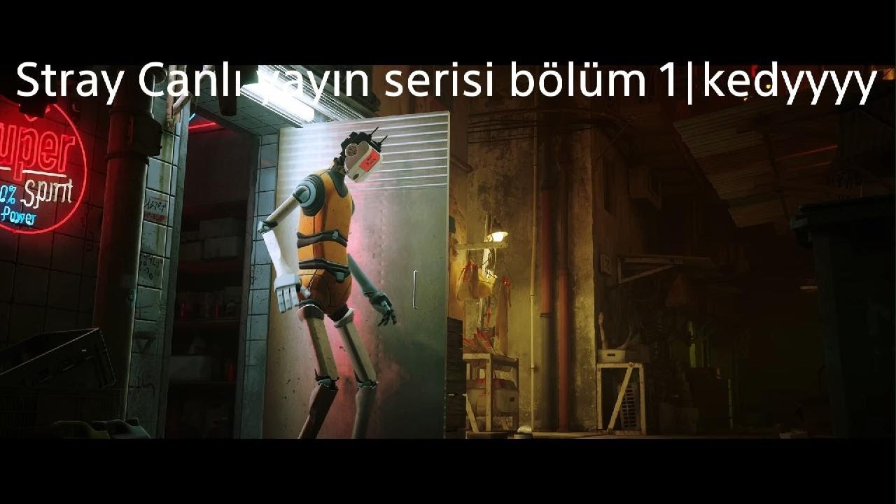 Stray Canlı yayın serisi bölüm 1 devamı 1|kedyyyy