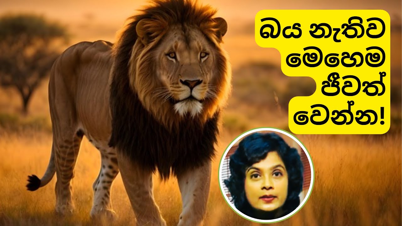 බය නැතිව ජීවත් වීමට විදි | How to live FEARLESSLY