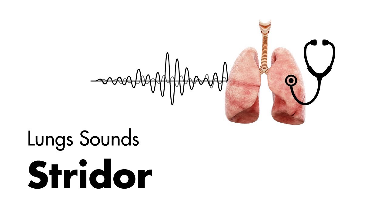 Stridor - Lung Sounds - MEDZCOOL