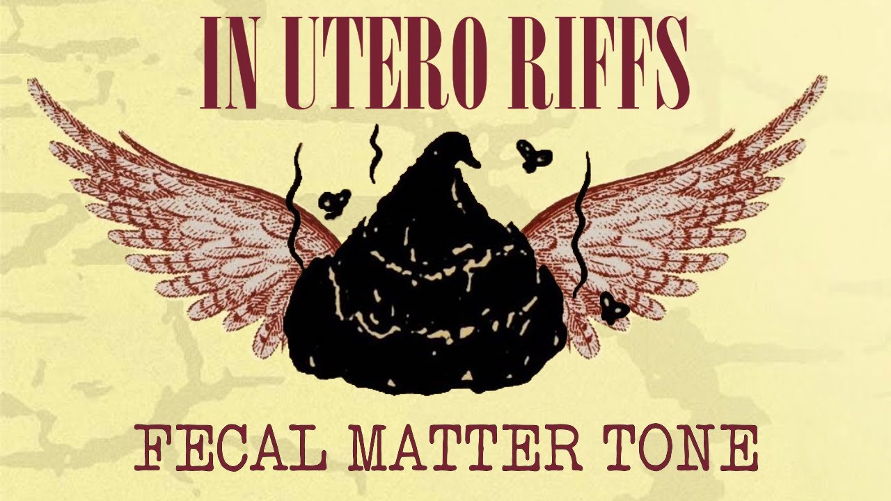 Nirvana In Utero Riffs with Fecal Matter Tone | Illiteracy Will Prevail Guitar Tone