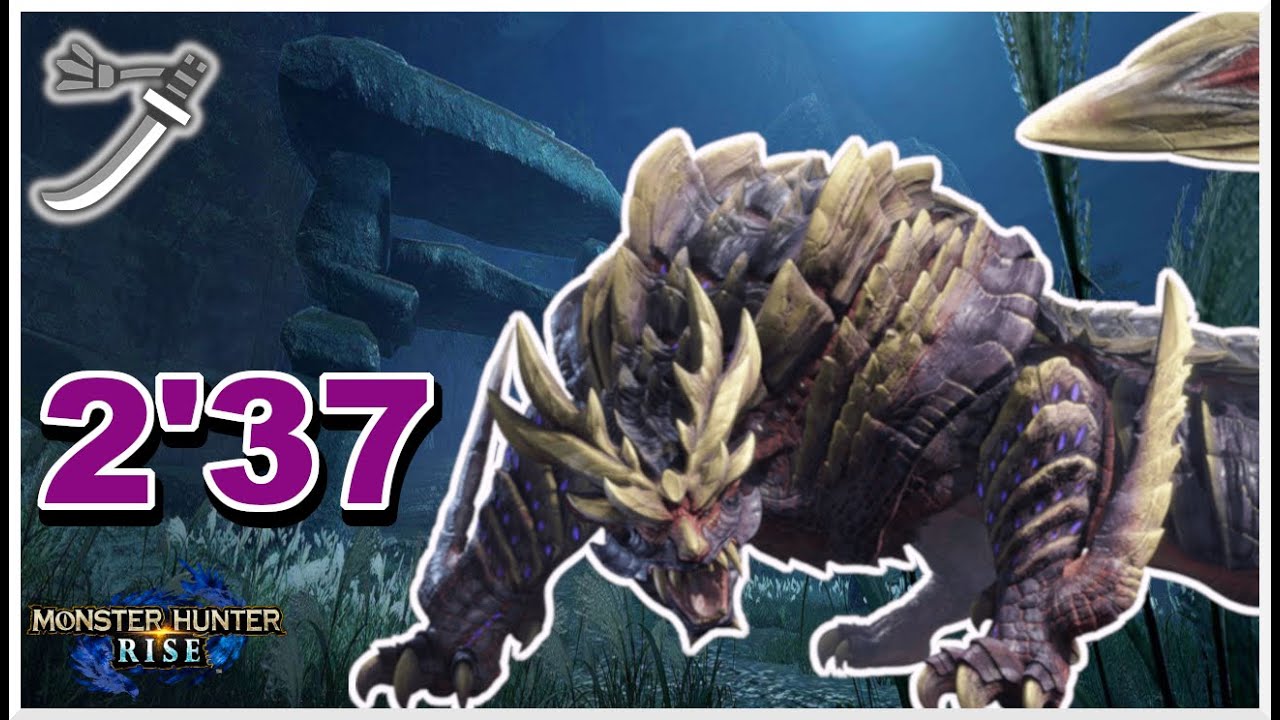 Magnamalo Speedrun Long Sword Monster Hunter Rise