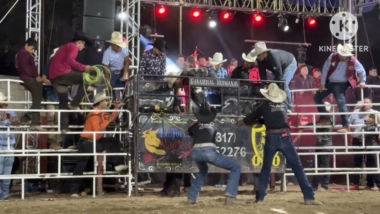 L&aacute;tigo olmedo del grullo Jalisco