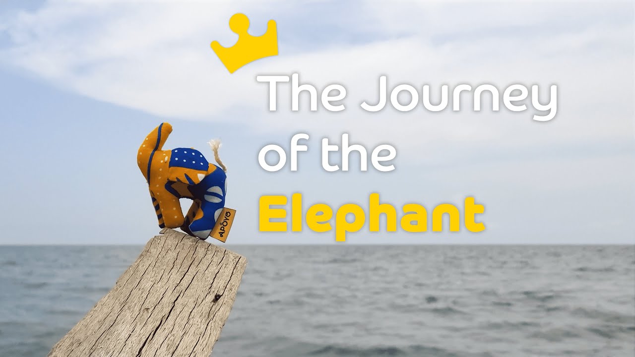 [APOYO] The Journey of the Elephant | 아포요 코끼리의 여행