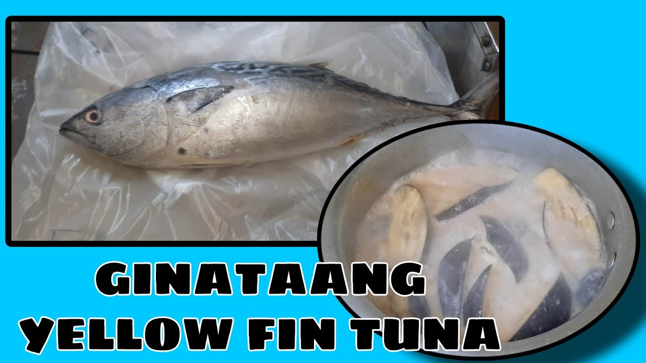 Ginataang YELLOW FIN // DRINOFFICIAL