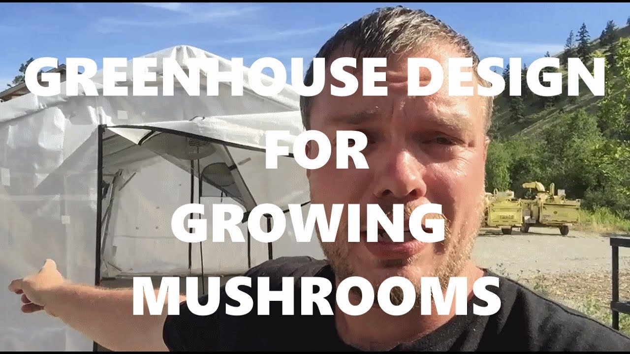 How To Grow Mushrooms Outdoors