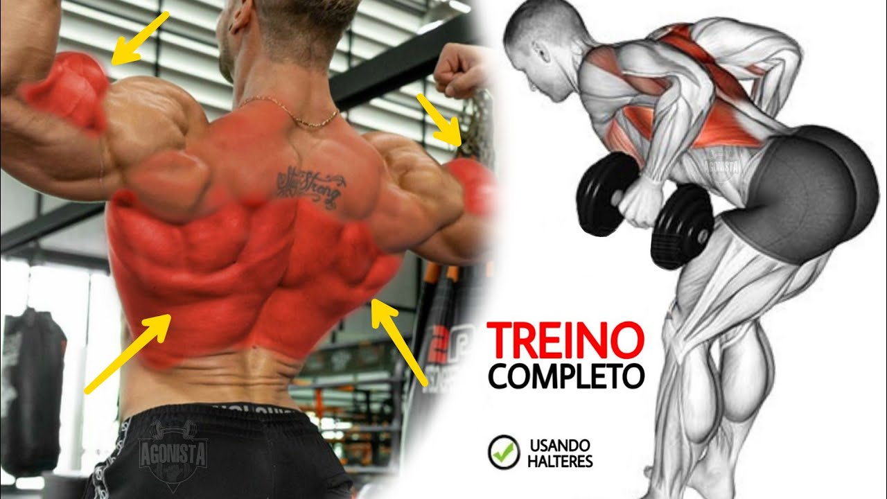 7 EXERCÍCIOS Treine Costas e Bíceps Completo com halteres - da para fazer em casa